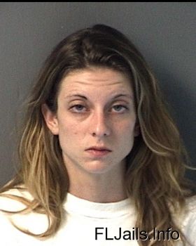 Lindsey Michelle Johnson Nelson Mugshot